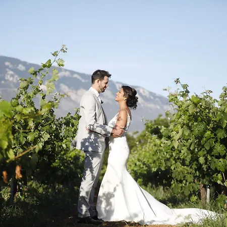 Villa Hidden Gem Estate Kefalonia, Multi-award Winner Spartia (Kefalonia)